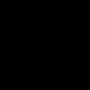 Meet your Posher, Brisa